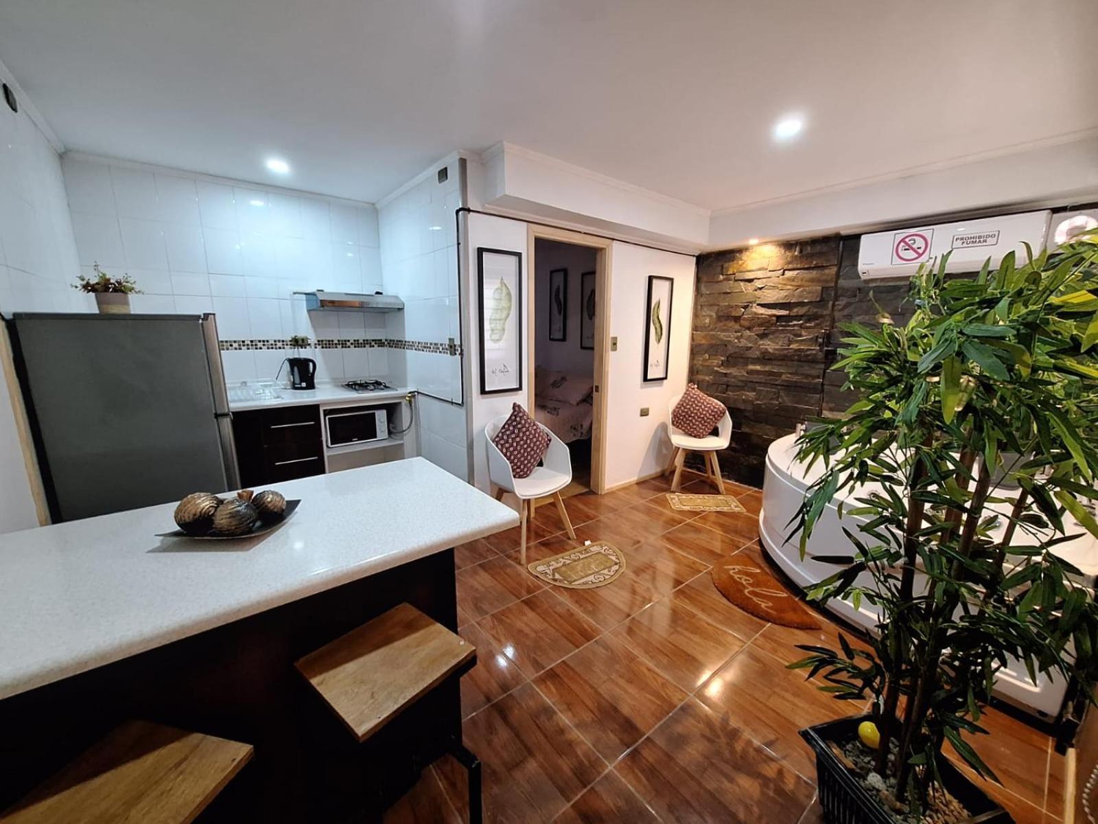 Cabanas Ases Loft Valdivia Sin Estacionamiento Exterior foto